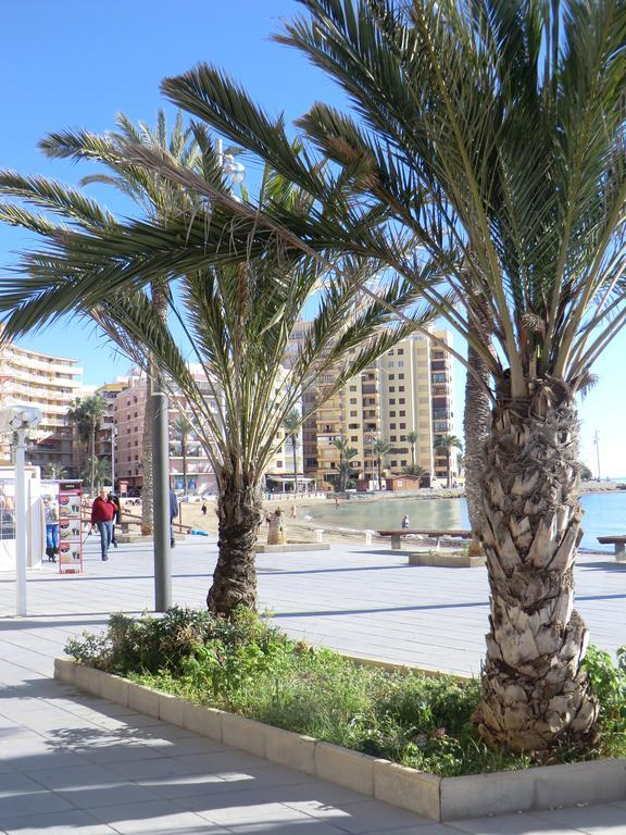 Casas Holiday - Playa Del Cura 2 托雷维耶哈 客房 照片